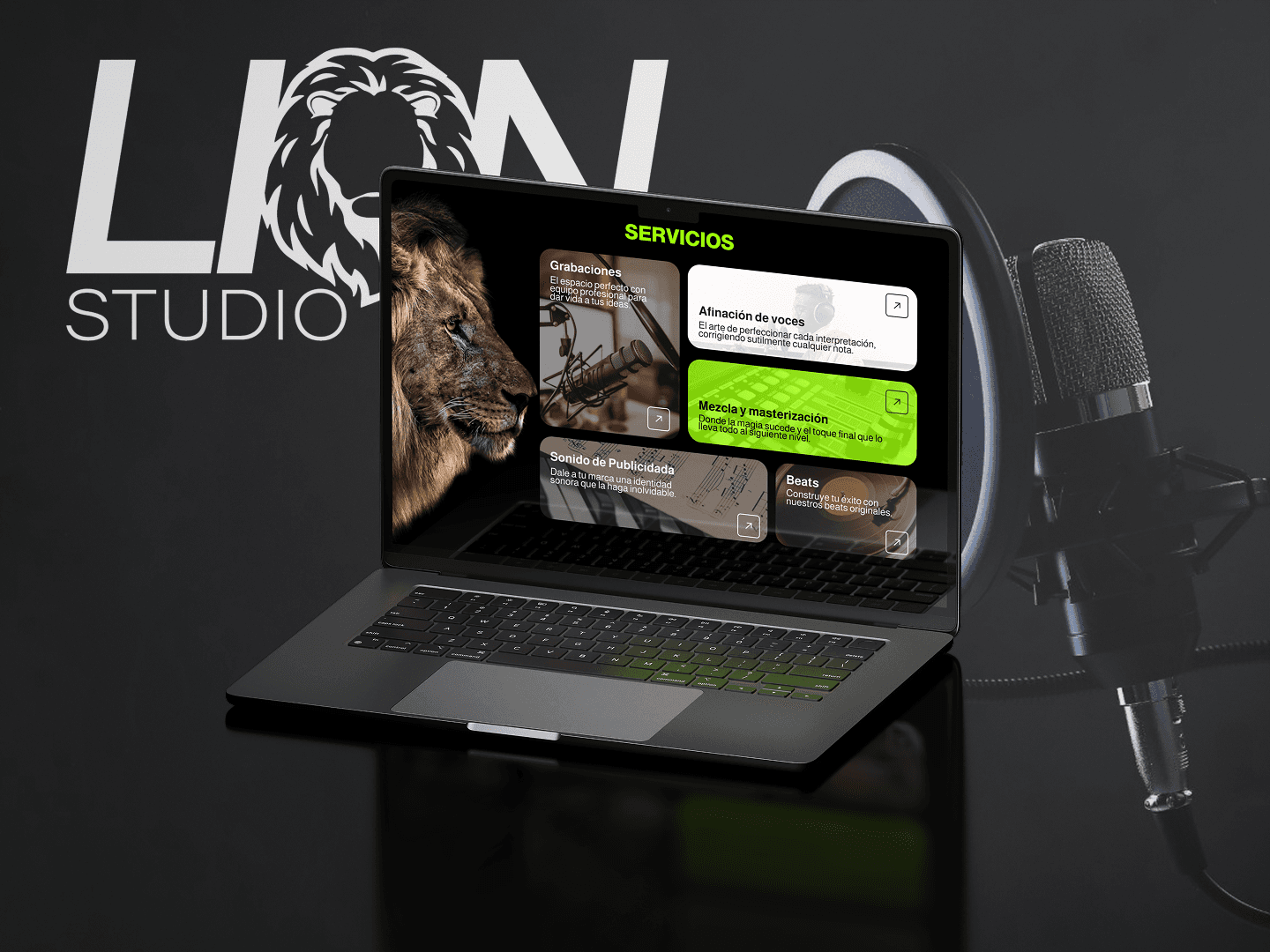 Lion Studio